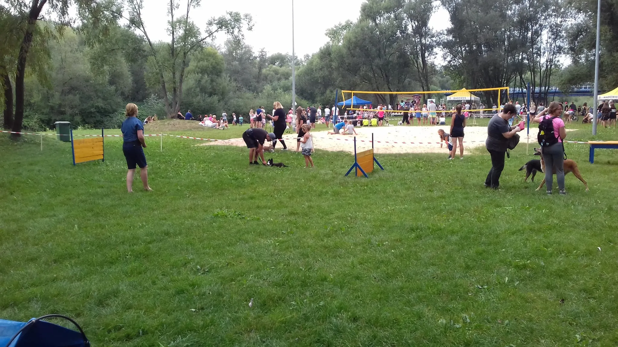 Szkolenie Psów