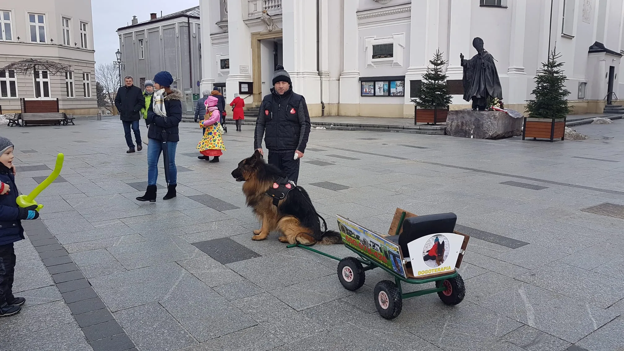 Szkolenie Psów